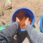 6 копійчаних добавок з аптеки та кухні, які змуслять рибу клювати: рецепти та пропорції